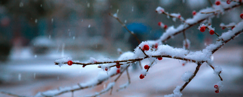 林海雪原读后感