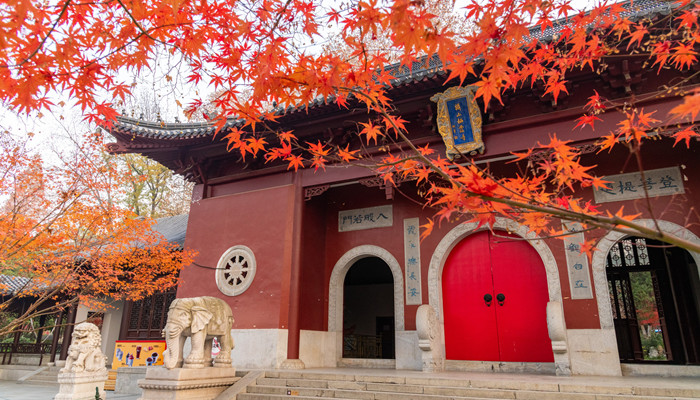 南京邮电大学在哪个区