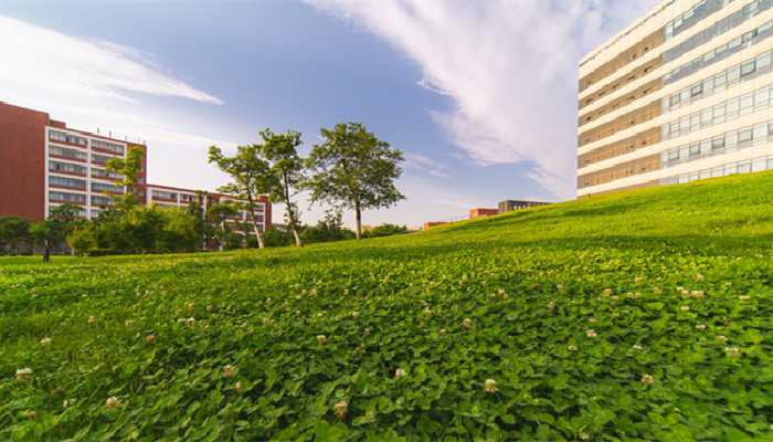 黑龙江大学是几本