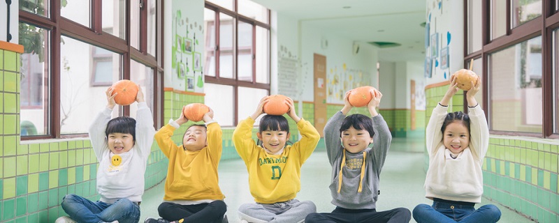 学前教育和幼师区别