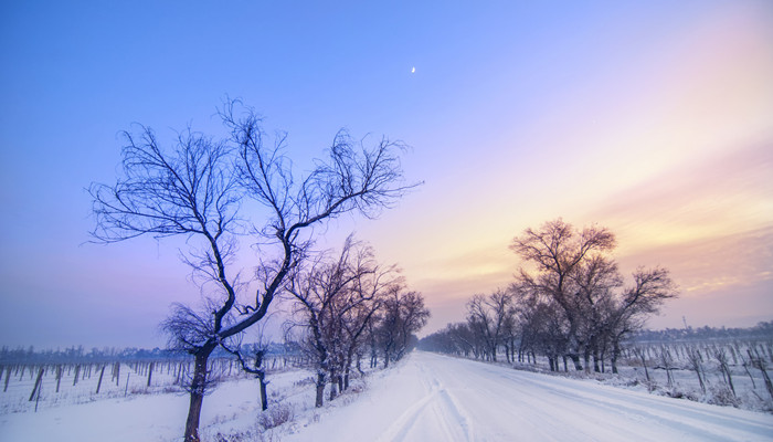 沁园春雪意象都具有哪些特点