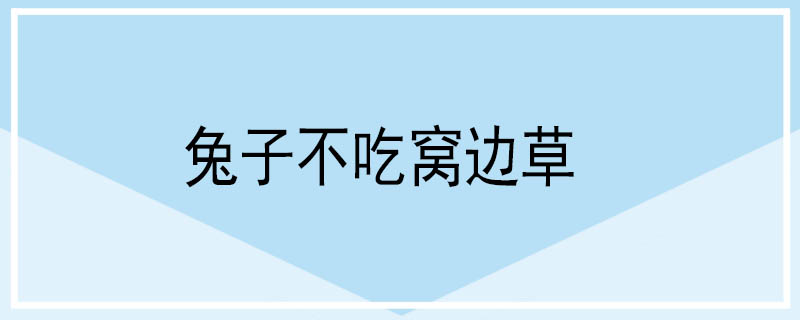 兔子不吃窝边草什么意思