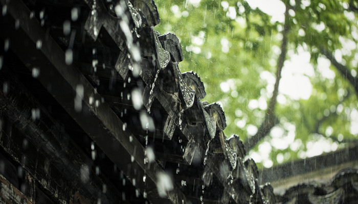 降水量50毫米什么概念