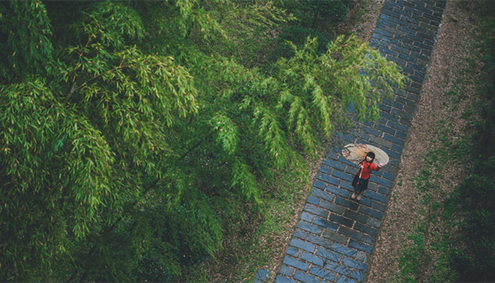 工农兵大学是哪年开始至停止