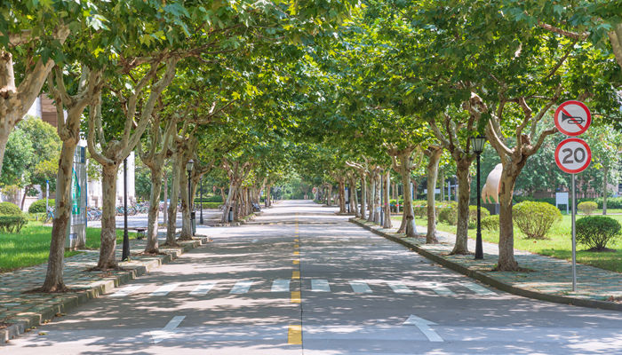 沈阳师范大学是几本