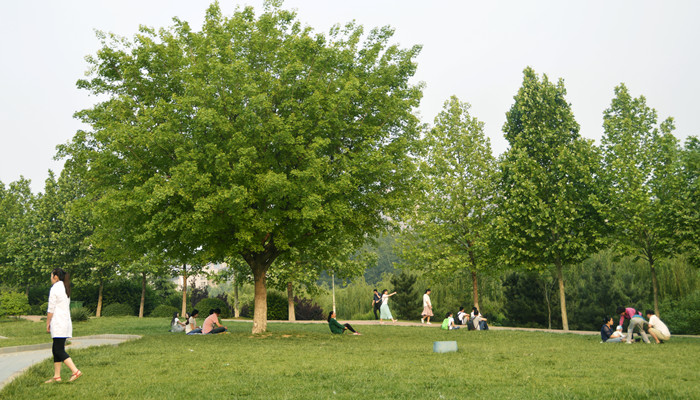 上海师范大学是几本