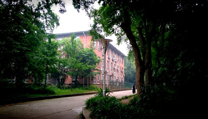 北京财经类大学是985吗