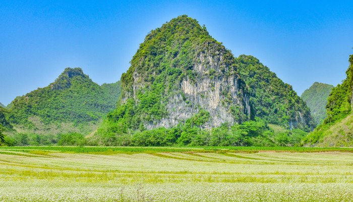 愚公移山翻译