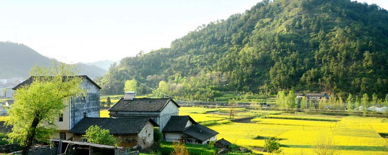 空山不见人,但闻人语响是哪句诗?