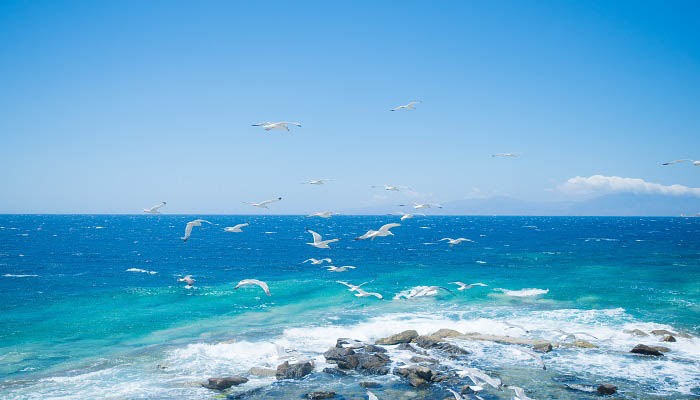 浪淘沙北戴河赏析