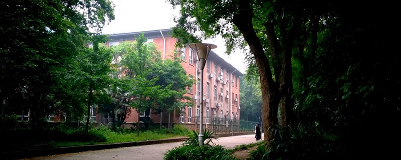 西藏大学是211吗