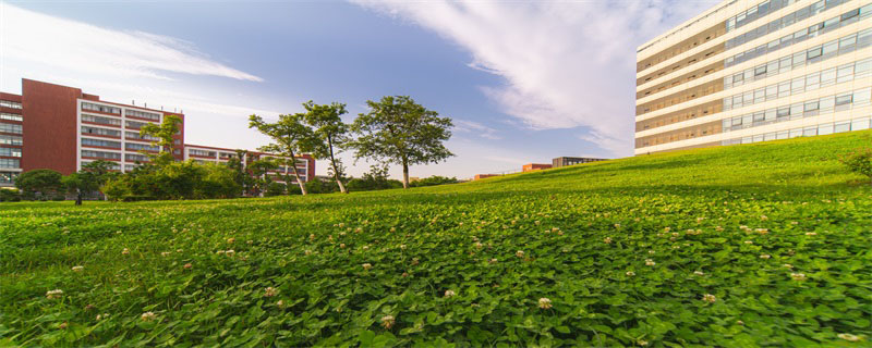 亳州师范高等专科学校招生专业及最好的专业有哪些