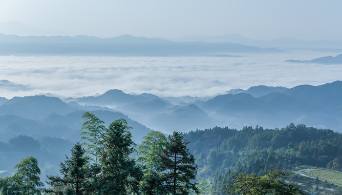 只有天在上更无山与齐是哪座山