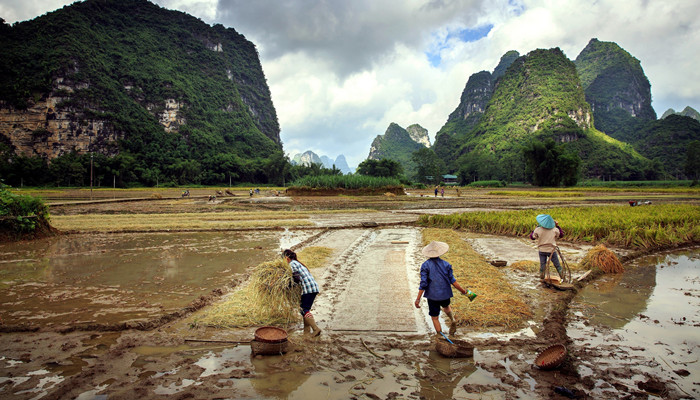 我爱这土地意象特点