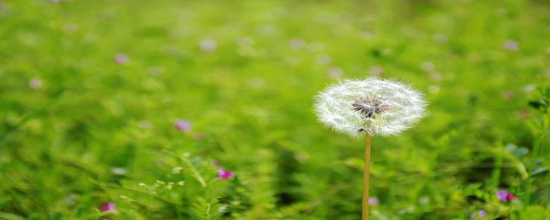 秋风吹雨过南楼的意思