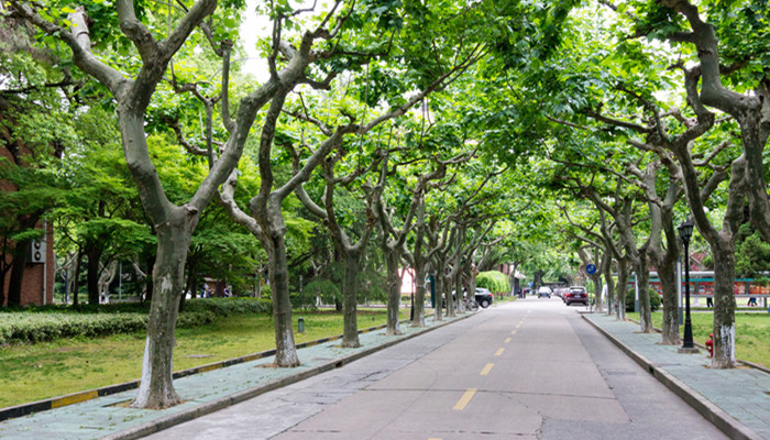 郑州大学在哪里个城市哪个区