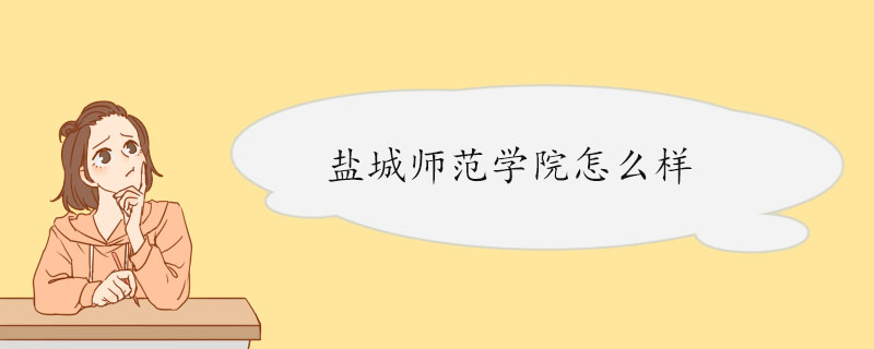 盐城师范学院怎么样 师资构架