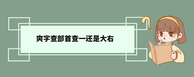 爽字查部首查一还是大