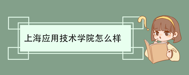 上海应用技术学院怎么样 国际交流