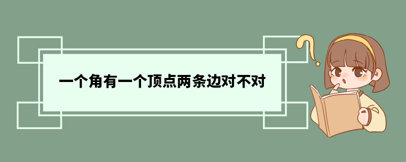 一个角有一个顶点两条边对不对