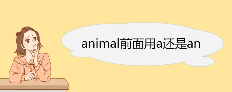 animal前面用a还是an