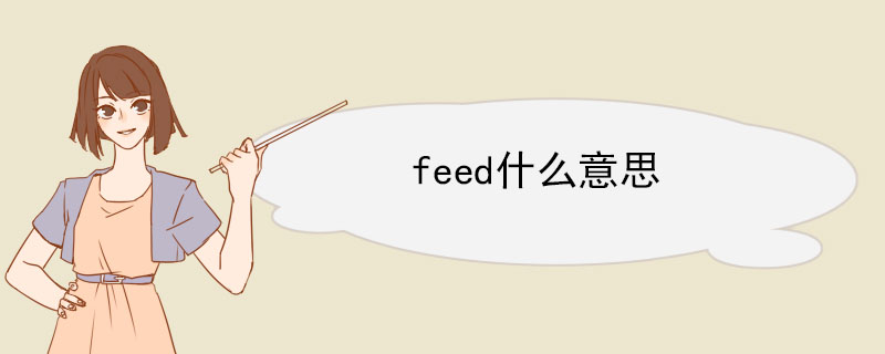 feed什么意思