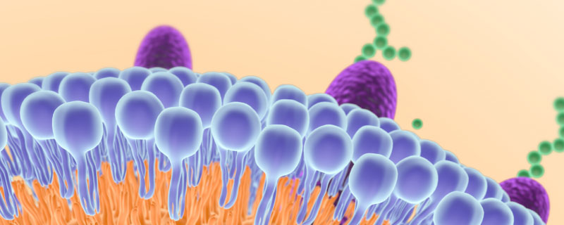 细胞是由英国科学家谁最早发现的