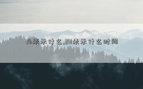 2h时间是什么意思